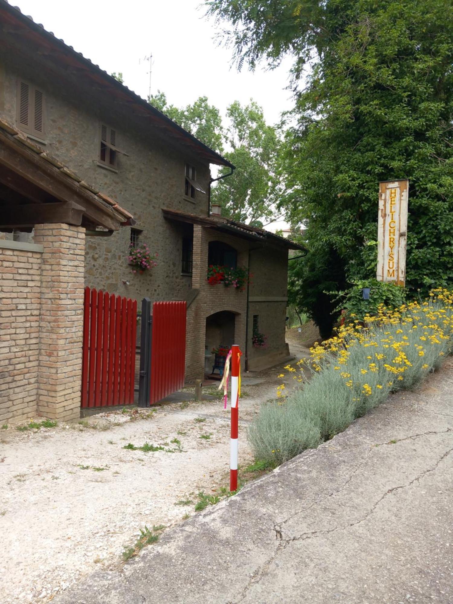 Bed and Breakfast Helichrysum Vinci Exteriér fotografie